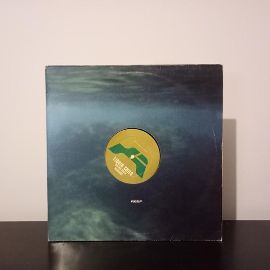 Liquid Child - Diving Faces (Remixes) | Reef Recordings (VG/VG+)